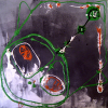 Karpfen auf Speed_2003