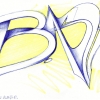 B.ash_2017