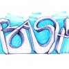 B.ash_2017