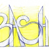 B.ash_2017