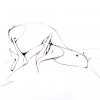 B.ash_2005