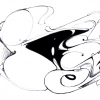 B.ash_2005