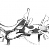B.ash_2008