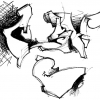 B.ash_2008