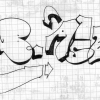 B.ash_2009