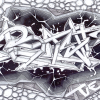 B.ash_2014