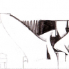 B.ash_2001