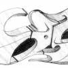 B.ash_2003