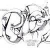 B.ash_A4_2016