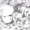 B.ash_2010