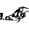 B.ash_2010