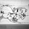 B.ash_2012
