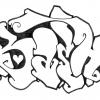 B.ash_2009