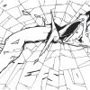 B.ash - Im Netz_2011 