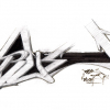 True_1998