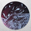 Graffiti On Vinyl_2011