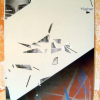 Higher_2004