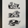 Metamorphoses Abstractae_2023