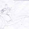 Engel_2004