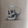 Skull_2024