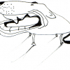 Toele_2005
