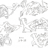 Xray_2010