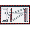B.ash_A4_2017
