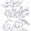 B.ash B.ash B.ash_2012