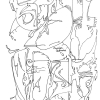 Warteschleife_2025