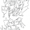 Ipsum_2011