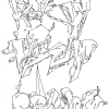 Ipsum_2011