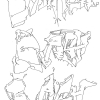 B.ash_2011