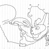 B.ash_2011