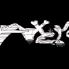 Axer_2013