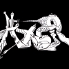 Axer_2013