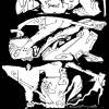 Turok_2011