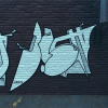 B.ash_Rooftop_02_2026