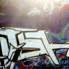 B.ash_Magdeburg_1998