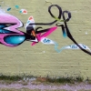 B.ash _Berlin_2014