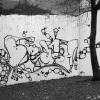 walls_b-ash_2009-22