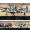 Copsa + B.ash_Calbe_2000