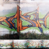 Maik + B.ash + Copsa + 2Rok_Calbe_2000
