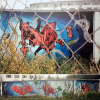 B.ash_Magdeburg_2001