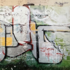 B.ash_Magdeburg_2001