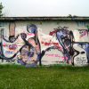 B.ash_Magdeburg_2002