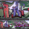 B.ash+Copsa_Calbe_2004