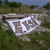 B.ash_Calbe_2004