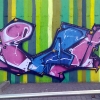 B.ash_Magdeburg_2007